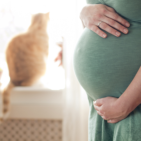 Hamilelikte Kaçınılacak Şeyler - Bunları biliyor muydun?